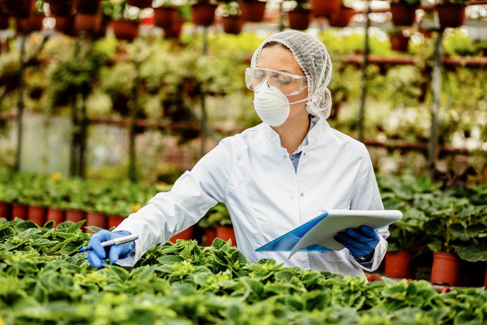 Food safety consultancy